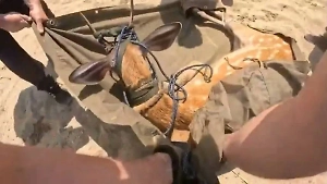 Израненный олень бросился в море после нападения собак и чуть не погиб, его спасли люди