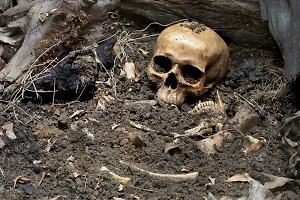 Тела 800 убитых младенцев ищут на территории Дома матери и ребёнка в Ирландии