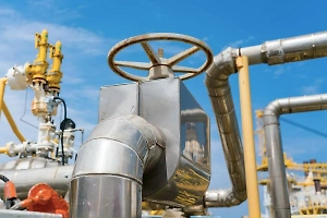 Балансируют на грани рецессии: Путин удивился, зачем ФРГ отказалась от нефти и газа из РФ