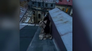 Обещали шикарные виды, а получили задержание: 50 туристов попались на опасной экскурсии в Петербурге