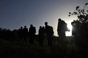 «Африканский корпус» ВС РФ и армия Мали ликвидировали шесть боевиков ИГИЛ*
