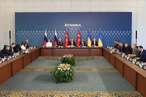 Глава МИД Турции Фидан: Россия и Украина продолжат подготовку встречи лидеров