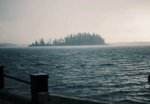 Туристы с катера нашли мёртвую девочку, которую три месяца искал весь Петербург