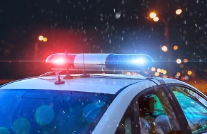 В Екатеринбурге и Воронеже задержаны руководители азербайджанских диаспор