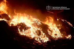 Удар около фабрики Roshen: ВС РФ атаковали военные цели в четырёх регионах Украины