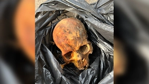 В Челябинске нашли останки пятерых человек, живших в 18 веке