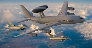 «Глаза в небе»: СМИ раскрыли, как НАТО наблюдает за Россией 