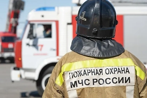 Трое детей и взрослый погибли при пожаре в СНТ под Екатеринбургом