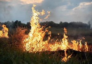 Ландшафтный пожар охватил 20 гектаров рядом с трассой в Крыму