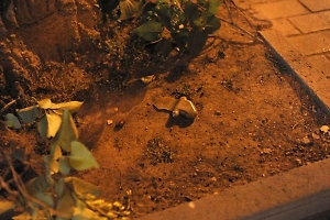 Цинизм и низость: Омбудсмен рассказала, как ВСУ «воюют» с детьми в ЛНР