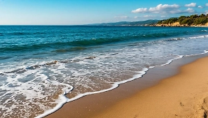 Любителей поплескаться в Чёрном море предупредили о риске отравления токсинами