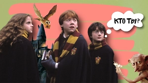 Тест: Гарри Поттер, Рон, а может, Волан-де-Морт — 6 вопросов подскажут, кто вы из киновселенной