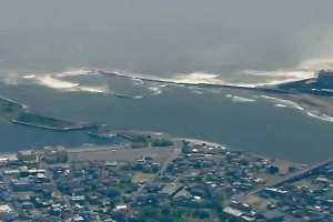 Волны цунами после землетрясения на Камчатке дошли до США и Японии, выбросив китов на берег