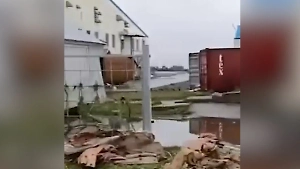 «Разруха капитальная»: Появилось видео с рыбзавода на Курилах, который не пощадило мощное цунами