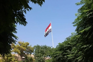 Глава МИД Сирии высказался об отношениях с Россией