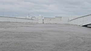 Уровень воды превысил 180 см: Появилось видео первого за 160 лет наводнения в Петербурге