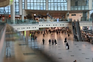 Названа сумма убытков авиаперевозчиков из-за коллапса в аэропортах