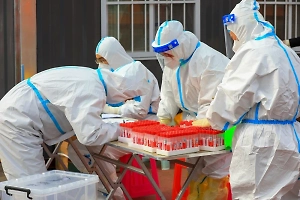 В Англии фиксируют резкий рост заболеваемости чикунгуньей