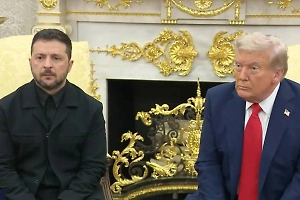 Зеленский не смог ответить на вопрос о территориальных уступках