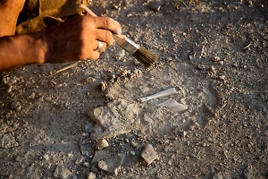 Капсула времени с предупреждением о гибели человечества оказалась памятным ящиком XIX века