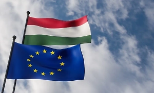 В Венгрии заявили о нежелании видеть Украину в рядах Евросоюза