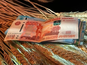 В Госдуме оценили возможность выплаты российским бюджетникам 13-й зарплаты