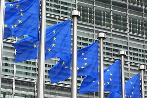 Названы две страны НАТО, которых ждёт прессинг от ЕС за отказ пойти против России