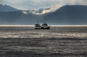 Хуситы освободили экипаж судна Eternity C с тяжелораненым россиянином