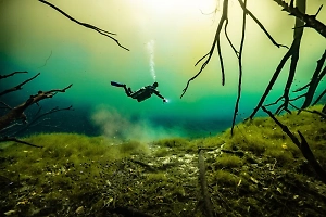 Дайвер в США обнаружил останки пропавшей 67 лет назад семьи на дне реки Колумбия