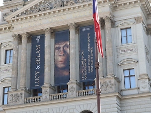 Африканская страна заставила Чехию снять украинский флаг с музея и заменить плакатом с обезьяной