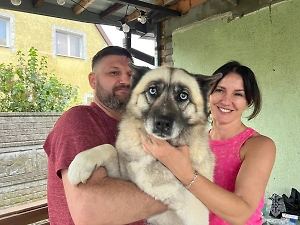 Сотрудники МЧС спасли хаски, упавшую в 9-метровый колодец под Калининградом