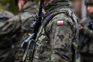 Журналист Фази: Если Польша хочет воевать с РФ, пусть делает это самостоятельно
