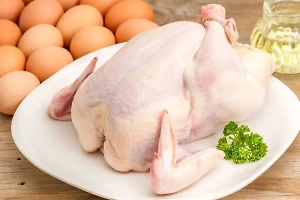 Опасный для человека антибиотик и сальмонеллу обнаружили в курице из Казахстана 