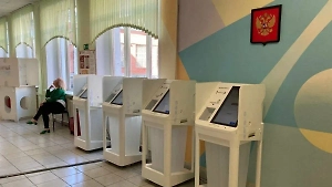 Наблюдатели ОП РФ не выявили существенных нарушений на выборах