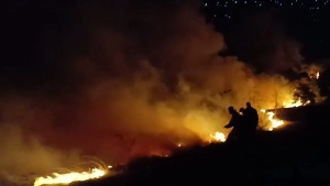 В Крыму площадь лесного пожара за ночь увеличилась до 80 гектаров