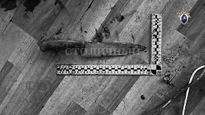 Москвич нанёс инвалиду 170 ударов топором и ножом из-за спора о футболе