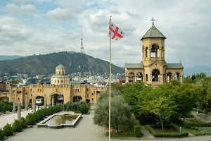 Глава парламента Грузии: Иностранцам надо признать ответственность за беспорядки