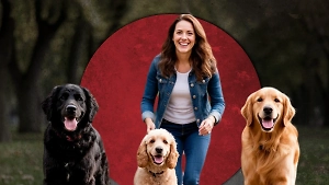 Всегда послушные, живут ради команд: 7 пород собак, которые станут идеальными компаньонами