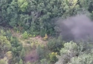 Разбитые БТР, сгоревшие деревья: Серебрянский лес сняли на видео после изгнания ВСУ