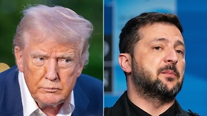 В Госдуме предрекли, что вскоре Трамп будет разочарован Зеленским