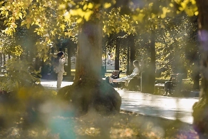 Когда в Москве на смену «золотому лету» придёт золотая осень: прогноз синоптиков