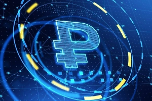 В Совфеде назвали сроки перехода на зарплату в цифровых рублях
