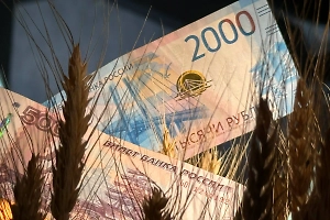 Экономист объяснил, чем повышение МРОТ обернётся для россиян и бюджета