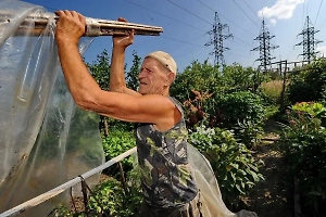 Готовим сад к холодам: Глава Союза дачников Подмосковья призвал не торопиться укрывать растения на зиму