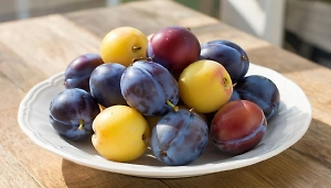 Детокс без жёстких диет: Нутрициолог раскрыла неожиданную пользу сливы для организма