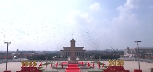 В Китае в небо выпустили 80 тысяч голубей мира по случаю завершения парада