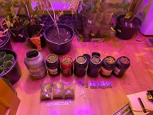 Неспортивное питание: Россиянину светит 20 лет тюрьмы за домашнюю нарколабораторию