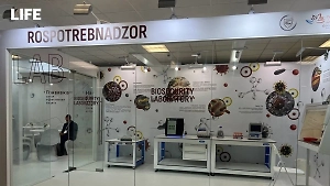 Роспотребнадзор уже подготовил для россиян тест на вирус чикунгунья