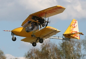 Легкомоторный самолёт упал в Подмосковье, пилот погиб