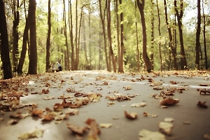 Врач предупредила об осенней опасности прямо у вас под ногами